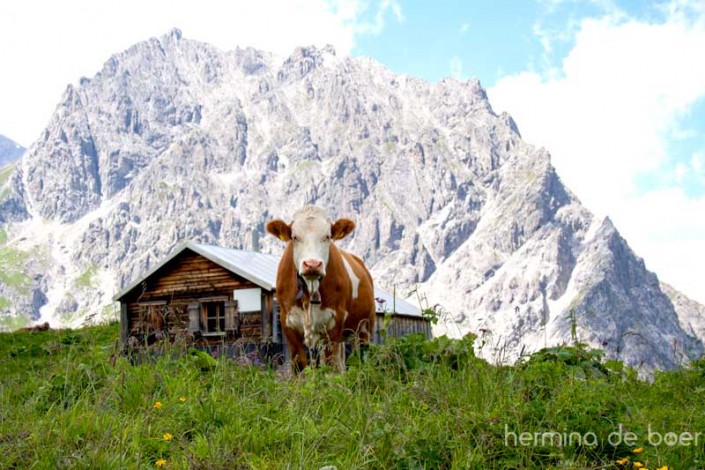 Alpen. Austria