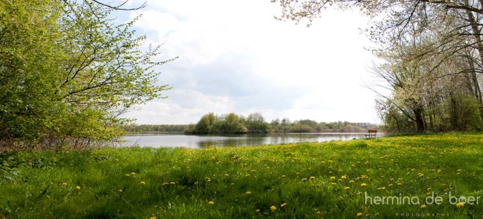 Nature Park, Lelystad, Holland