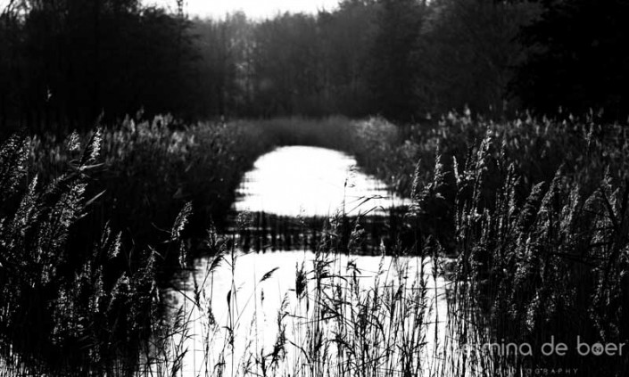 Nature Park, Lelystad, Holland