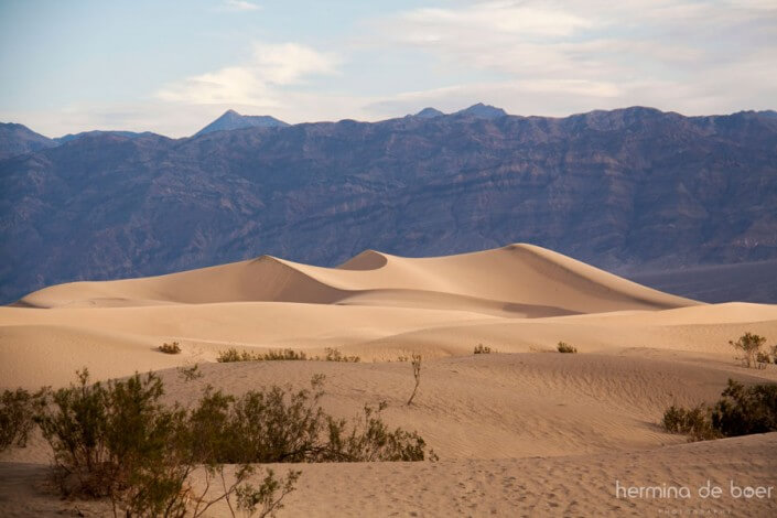 Death Valley, Sand Dunes, America