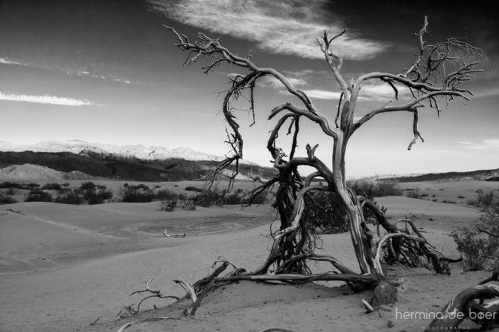 Death Valley, Sand Dunes, America