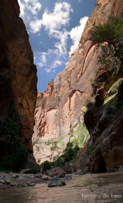 Zion, Narrows, National Park